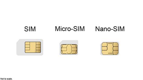 iphone 6 sim card size vs 11